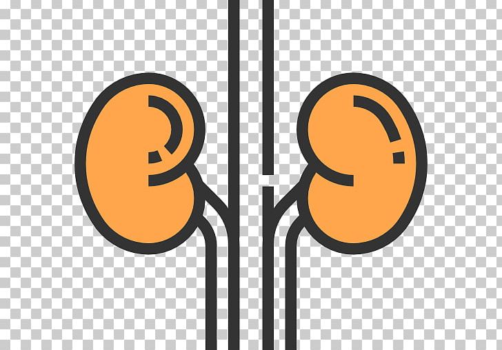 Kidney Computer Icons Urology PNG, Clipart, Area, Computer Icons, Encapsulated Postscript, Happiness, Kidney Free PNG Download