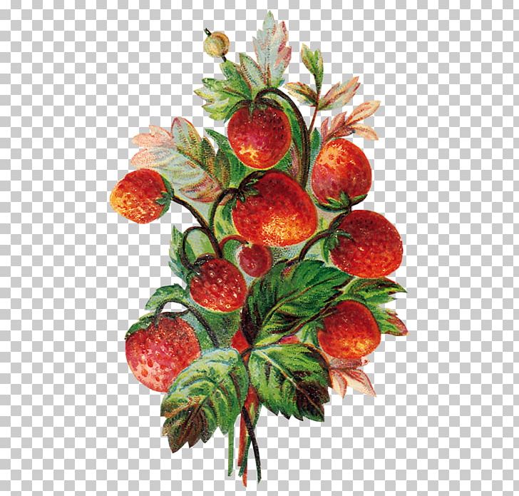 Strawberry Fruit Food Auglis PNG, Clipart,  Free PNG Download