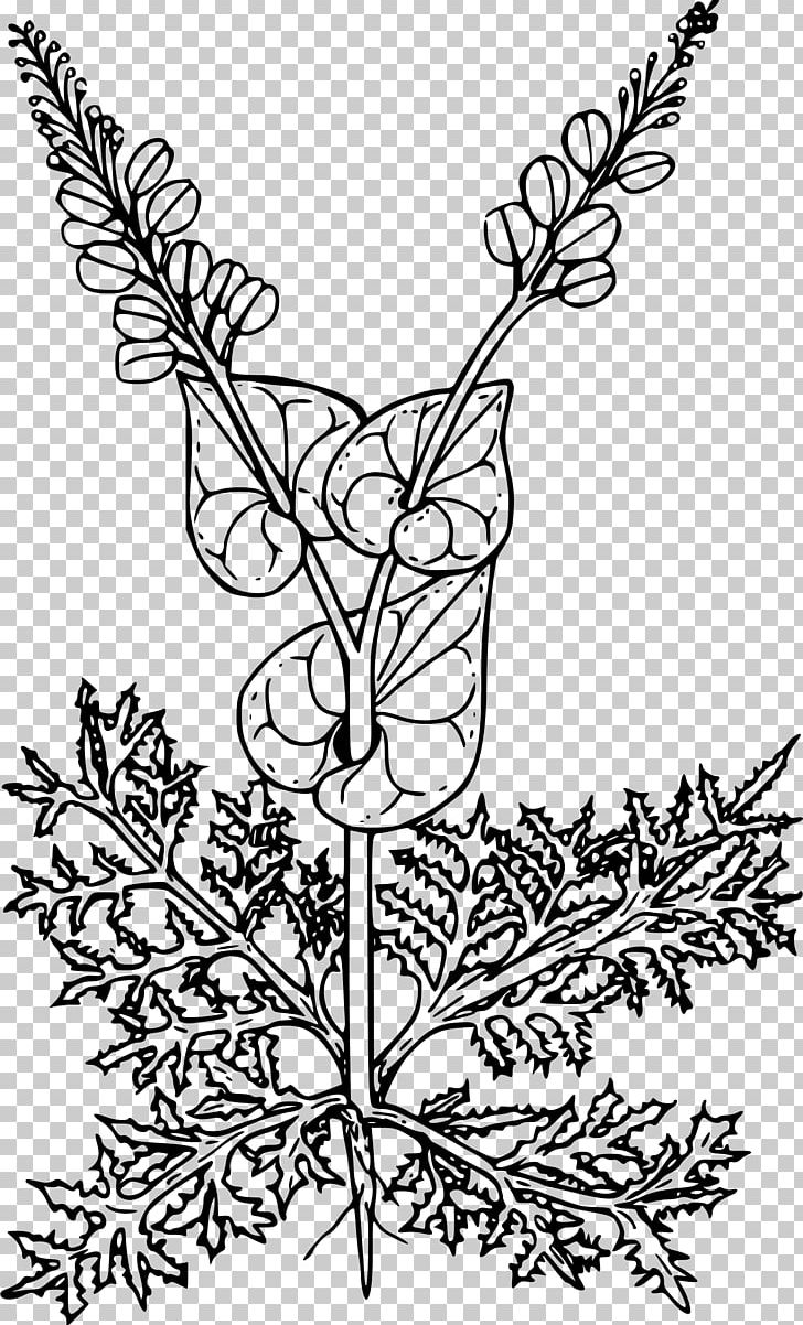 Visual Arts PNG, Clipart, Art, Black And White, Black Pepper, Branch, Flora Free PNG Download