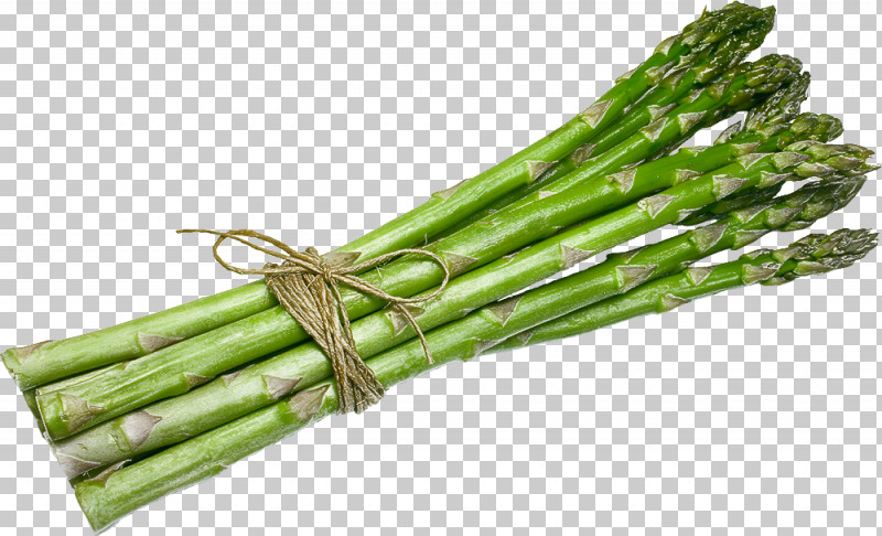 Vegetable Asparagus Plant Food Asparagus PNG, Clipart, Asparagus, Food, Plant, Plant Stem, Vegetable Free PNG Download