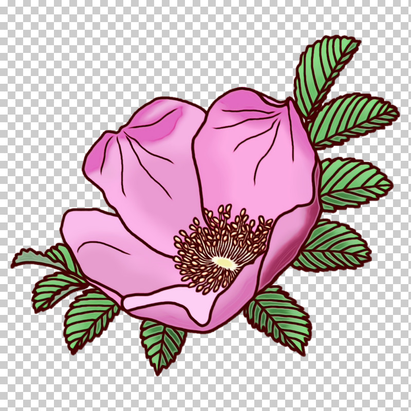 Garden Roses PNG, Clipart, Blog, Cut Flowers, Drawing, Floral Design, Flower Free PNG Download