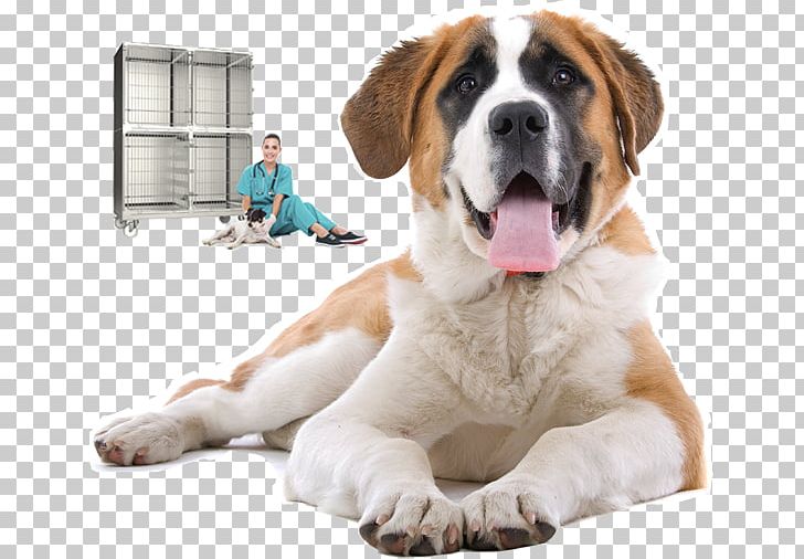 St. Bernard Pet Bed Cat Kennel PNG, Clipart, Bed, Cat, Companion Dog, Dog, Dog Breed Free PNG Download