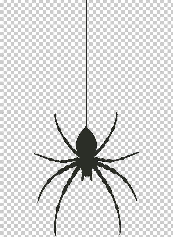 Widow Spiders PNG, Clipart, Arachnid, Arthropod, Black And White, Book Illustration, Halloween Free PNG Download