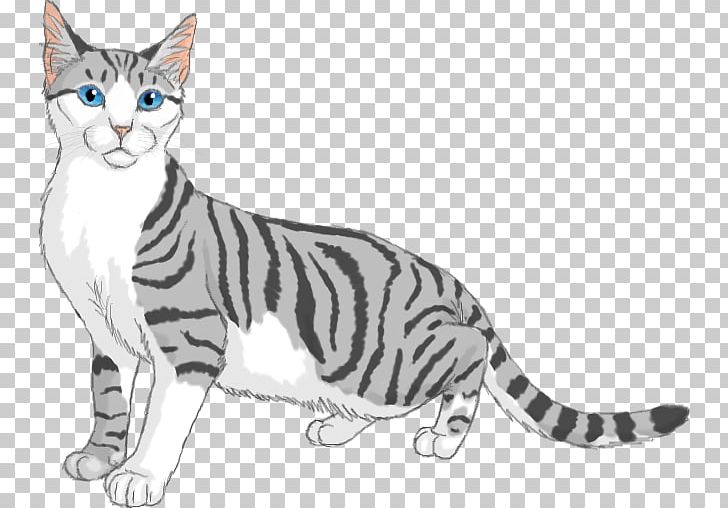 American Shorthair Kitten American Wirehair California Spangled Toyger PNG, Clipart, American Wirehair, Animals, Asian, Australian Mist, Bengal Free PNG Download