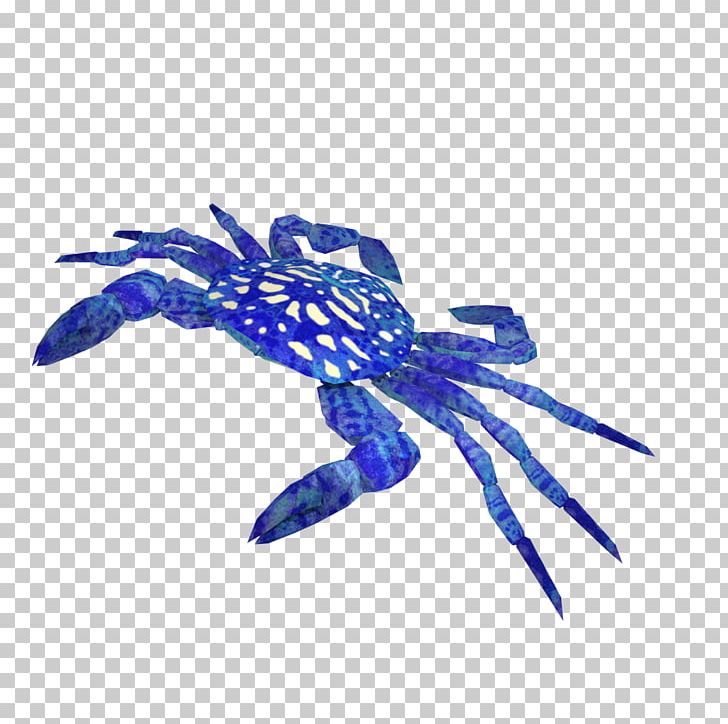 Crab Insect PNG, Clipart, Animals, Animal Source Foods, Crab, Decapoda, Electric Blue Free PNG Download
