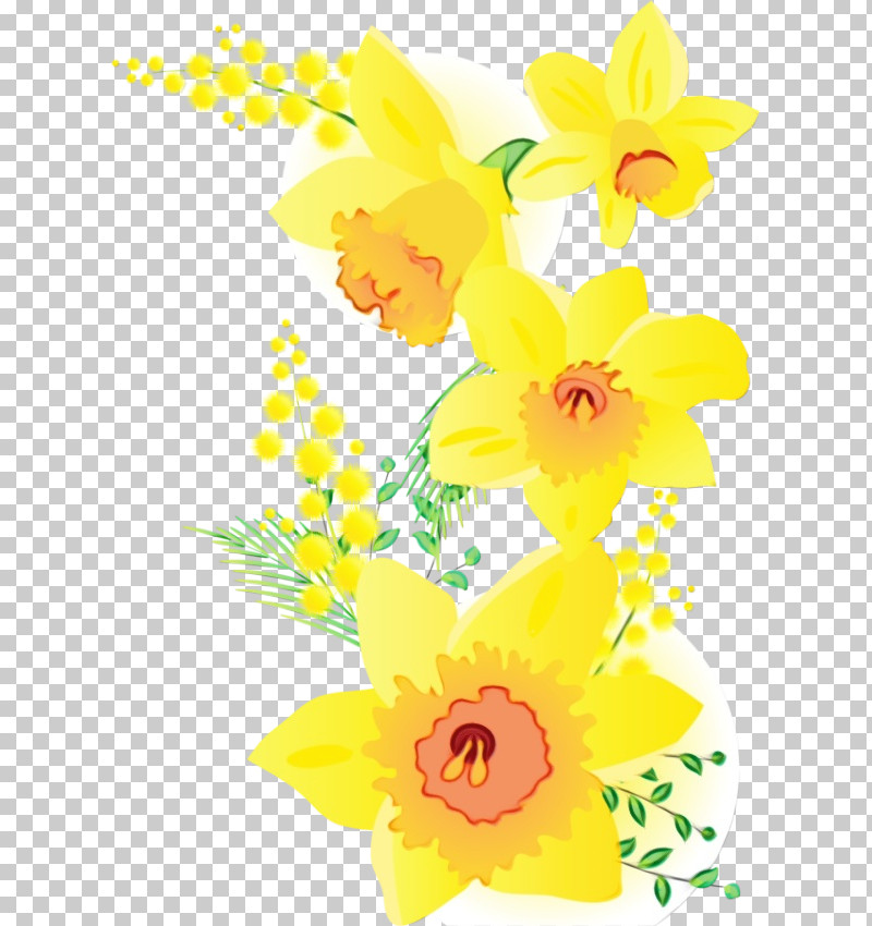 Floral Design PNG, Clipart, Cattleya, Cut Flowers, Floral Design, Flower, Herbaceous Plant Free PNG Download