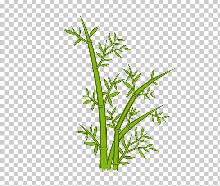 Bamboo Cartoon PNG, Clipart, Art, Background Green, Bamboo, Bamboo Leaves, Bambusa Oldhamii Free PNG Download