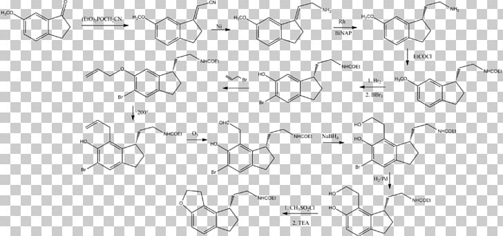 Drawing White Technology PNG, Clipart, Angle, Animal, Area, Black And White, Circle Free PNG Download