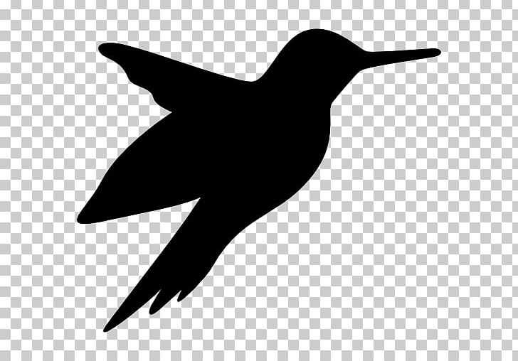 Hummingbird Computer Icons PNG, Clipart, Animal, Animals, Beak, Bird, Black And White Free PNG Download