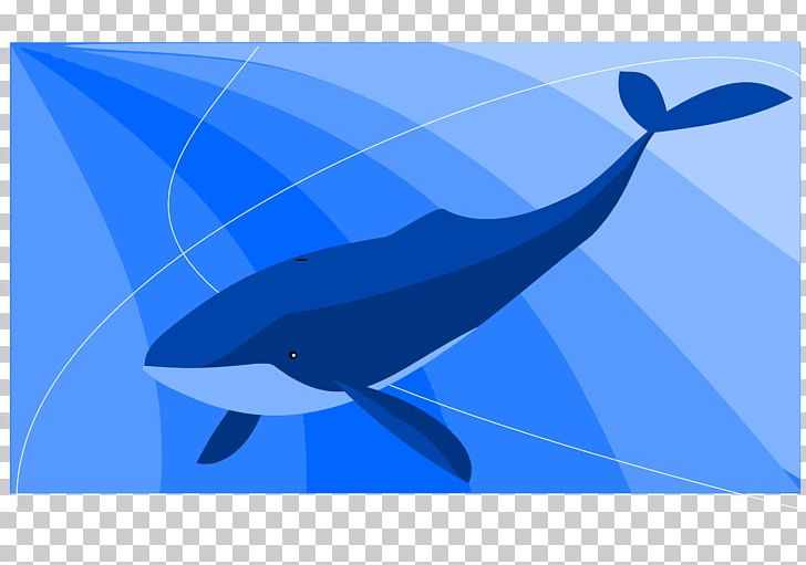 Balaenidae Blue Whale Game Suicide PNG, Clipart, Adolescence, Animals, Azure, Balaenidae, Baleen Whale Free PNG Download