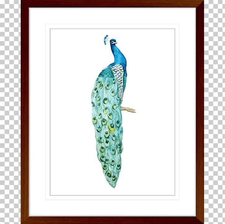 Bird Asiatic Peafowl Photography Feather PNG, Clipart, Animals, Aqua, Art, Asiatic Peafowl, Bird Free PNG Download