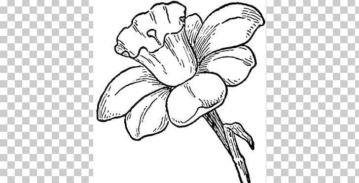 beautiful flowers coloring page with pencil sketch drawing detailed in  vector graphic of line art 10792084 Vector Art at Vecteezy