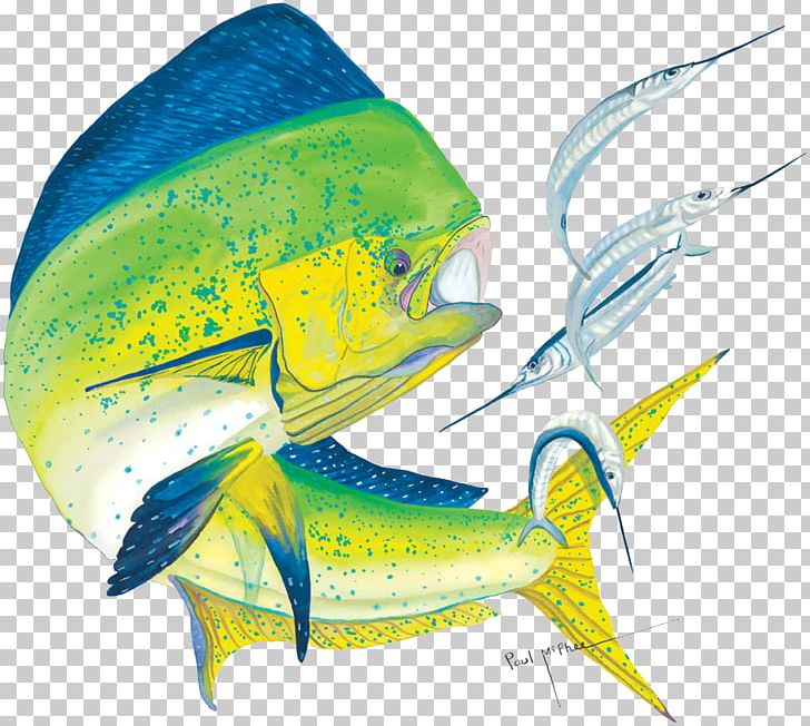 mahi mahi clipart