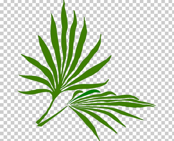 Palm Sunday Palm Branch Easter PNG, Clipart, Arecaceae, Arecales, Branch, Clip Art, Computer Icons Free PNG Download