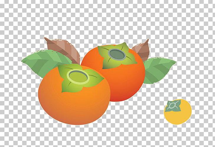 Japanese Persimmon Clementine Tangerine PNG, Clipart, Auglis, Citrus, Computer Wallpaper, Diet Food, Fall Free PNG Download