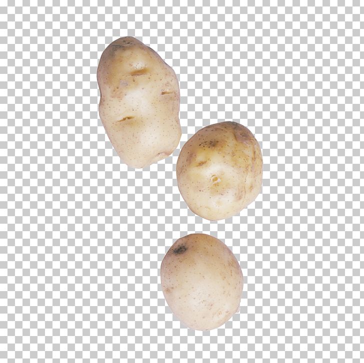 Potato Vegetable Food PNG, Clipart, Cartoon Potato Chips, Food, Fried Potato, Fried Potatoes, Information Free PNG Download
