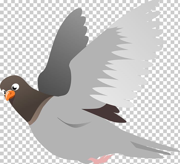 English Carrier Pigeon Homing Pigeon Columbidae Bird PNG, Clipart, Animals, Beak, Bird, Columbidae, Domestic Pigeon Free PNG Download
