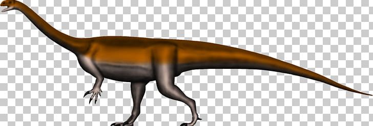 Glacialisaurus Riojasaurus Massospondylus Dinosaur Coloradisaurus PNG, Clipart, Animal, Beak, Brachiosaurus, Coloradisaurus, Deviantart Free PNG Download