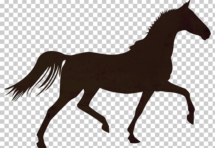 Horse Colt Foal Stallion Mare PNG, Clipart, Animals, Bridle, Bronco, Bucking, Canter And Gallop Free PNG Download