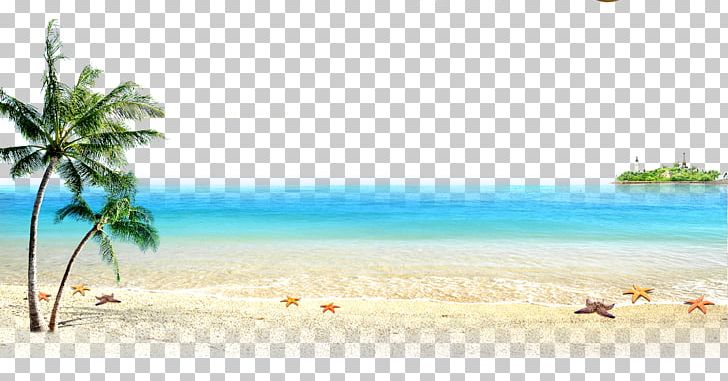 Beach Sea Computer File PNG, Clipart, Adobe Illustrator, Area, Beaches, Beach Party, Beach Vector Free PNG Download
