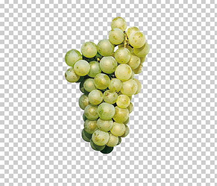 Sauvignon Blanc Cabernet Sauvignon Chardonnay White Wine PNG, Clipart, Burgundy Wine, Cabernet Sauvignon, Champagne, Chardonnay, Common Grape Vine Free PNG Download