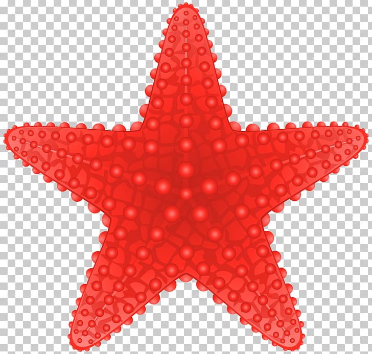 Starfish PNG, Clipart, Animal, Basket Star, Beach, Brittle Star, Clipart Free PNG Download