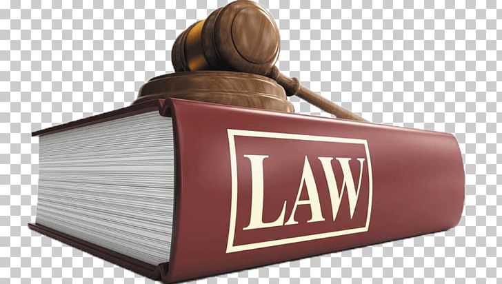 United States Lawyer Law College Law Firm PNG, Clipart, Brand, Common Law, Copyright, Court, Criminal Defense Lawyer Free PNG Download