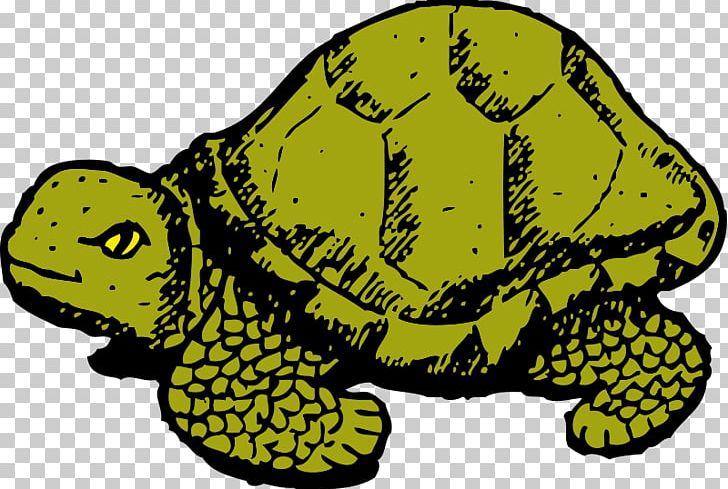 Turtle The Tortoise And The Hare Cartoon PNG, Clipart, Cartoon, Comics, Desert Tortoise, Fauna, Free Content Free PNG Download