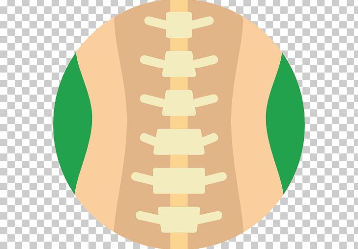 Vertebral Column Lumbar Vertebrae Spinal Cord Human Body PNG, Clipart, Anatomy, Back Pain, Bone, Chiropractic, Circle Free PNG Download