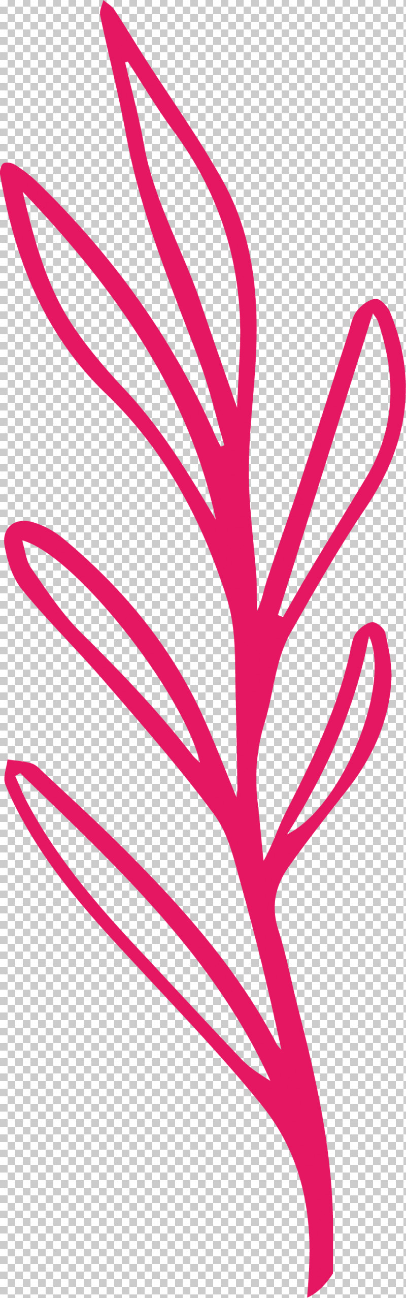 Simple Leaf Simple Leaf Drawing Simple Leaf Outline PNG, Clipart, Flower, Leaf, Line, Line Art, Meter Free PNG Download