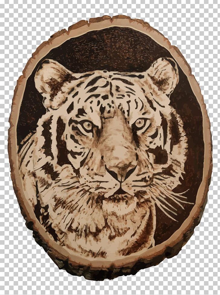 Pyrography Drawing PNG, Clipart, Animals, Art, Big Cats, Carnivoran, Cartoon Free PNG Download