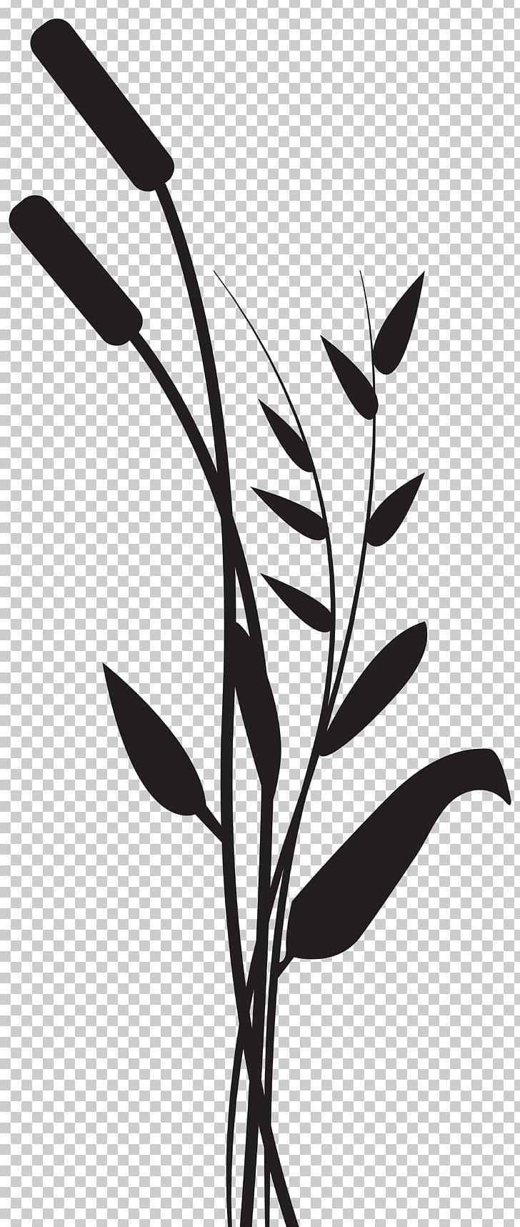 Silhouette Stock Photography PNG, Clipart, Black And White, Branch, Bulrush, Clipart, Contour Free PNG Download
