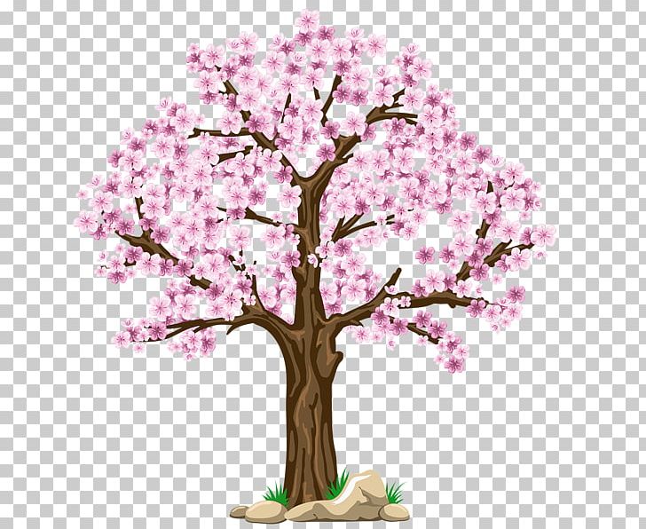 Tree PNG, Clipart, Autumn Tree, Blossom, Blossoms, Branch, Cherry Free PNG Download