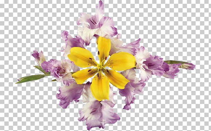 Cut Flowers PNG, Clipart, Cut Flowers, Floral Design, Flores, Floristry, Flower Free PNG Download