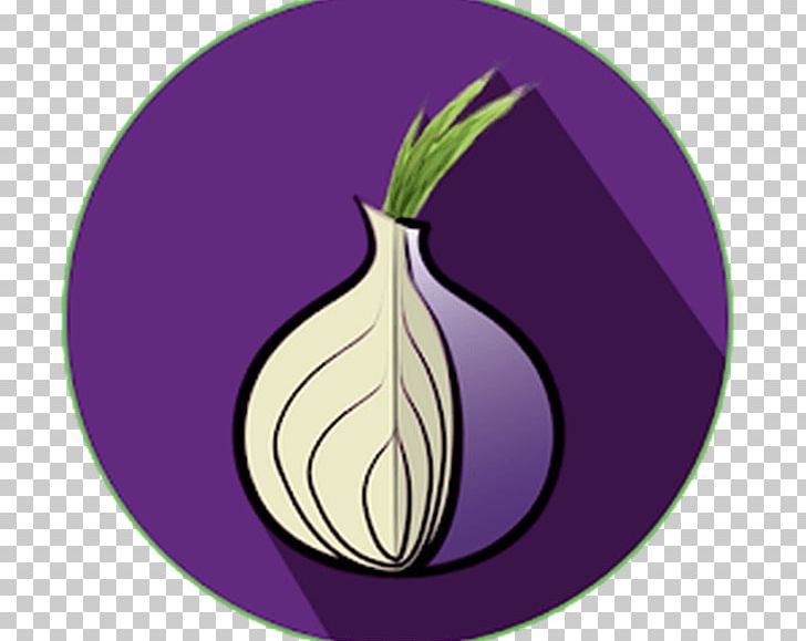 Tor Browser Computer Security .onion Computer Software PNG, Clipart, Anonymity, Browser, Computer Icons, Computer Security, Computer Software Free PNG Download