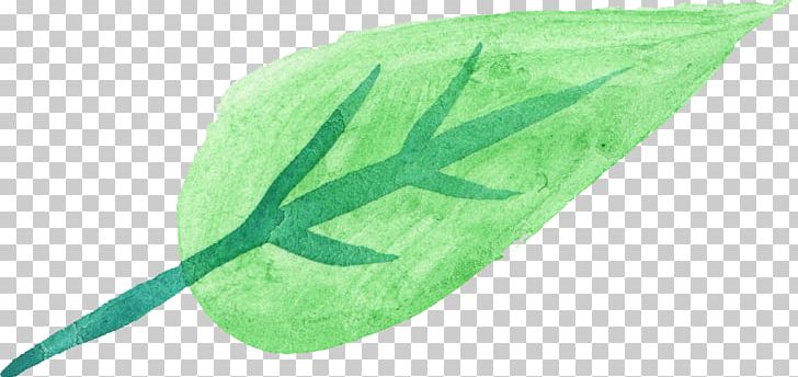 Watercolor Painting Leaf Green PNG, Clipart, Com, Download, Green, Leaf, Painting Free PNG Download