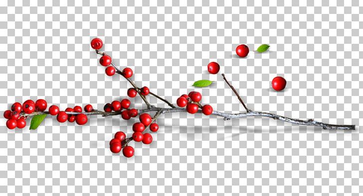 Creative Pull Small Red Holly Free PNG, Clipart, Arbor, Branch, Branches, Computer Icons, Computer Wallpaper Free PNG Download