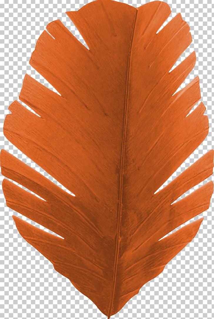 Banana Leaf Light Sconce PNG, Clipart, Animals, Banana, Banana Leaf, Beautiful, Beautiful Feathers Free PNG Download