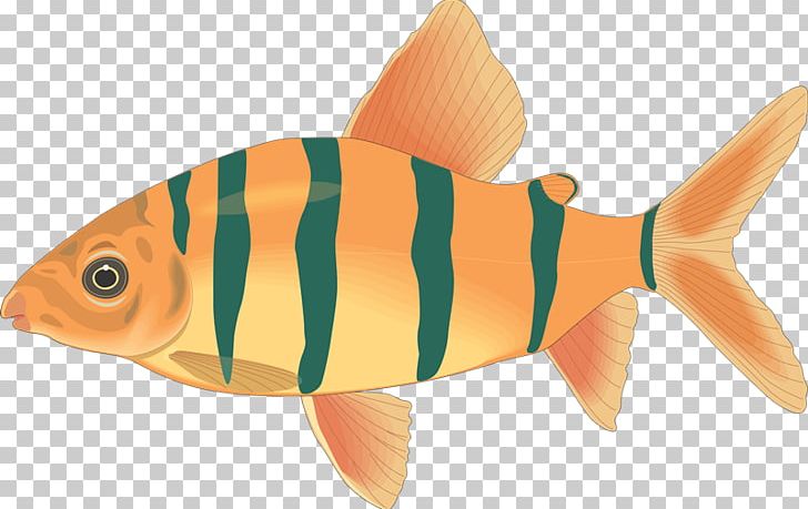 Clownfish Animaatio Marine Biology PNG, Clipart, Animaatio, Bony Fish, Clownfish, Coral Reef Fish, Download Free PNG Download
