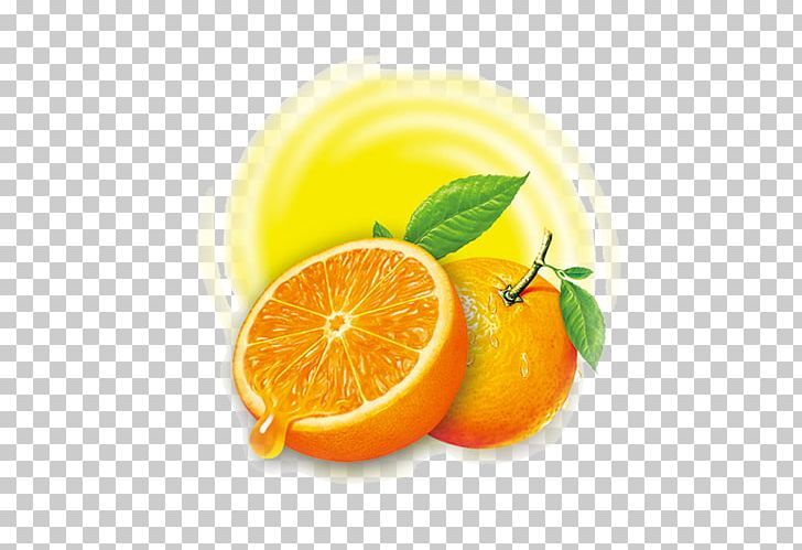 Lemon Squeezer Citron Orange Juicer PNG, Clipart, Bitter Orange, Citric Acid, Citron, Citrus, Diet Food Free PNG Download