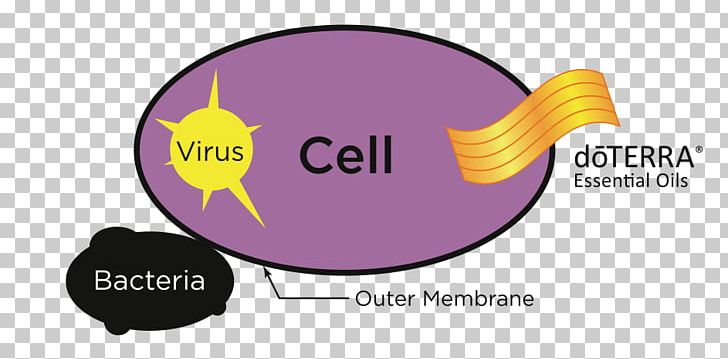 Essential Oil DoTerra Massage Aroma Compound PNG, Clipart, Abies Sibirica, Aroma Compound, Aromatic Compounds, Brand, Cell Free PNG Download