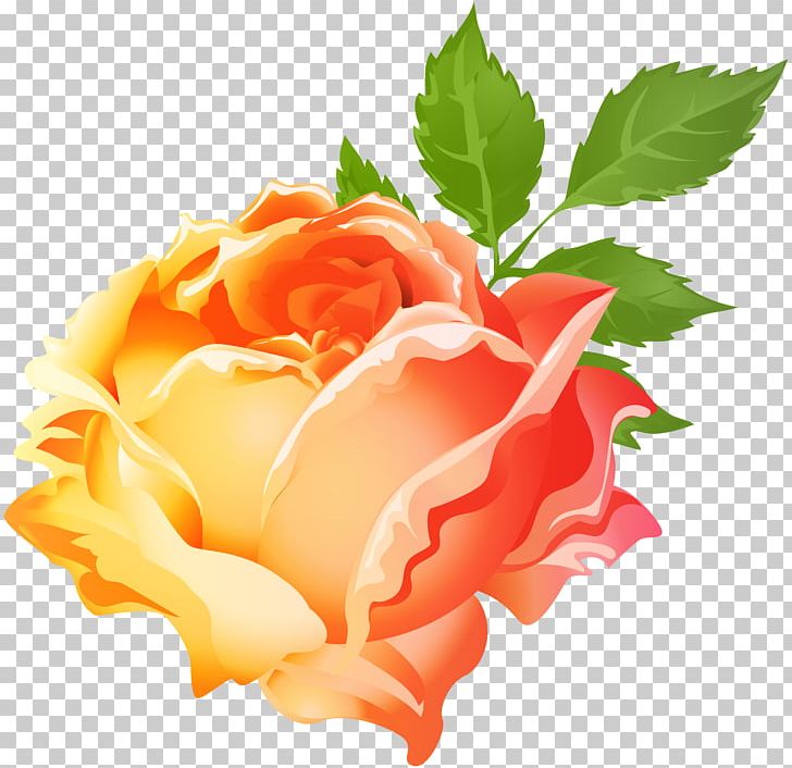 Garden Roses Purple Centifolia Roses PNG, Clipart, Clipart, Clip Art, Color, Cut Flowers, Floral Design Free PNG Download