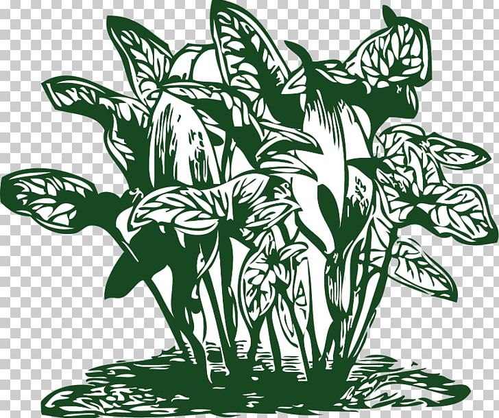 Plant Tropics Tropical Vegetation PNG, Clipart, Black And White, Commodity, Download, Flora, Flower Free PNG Download