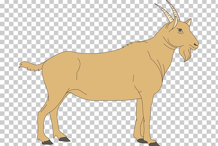 Fainting Goat Boer Goat Free Content PNG, Clipart, Animal, Animal Figure, Antelope, Boer Goat, Cattle Like Mammal Free PNG Download