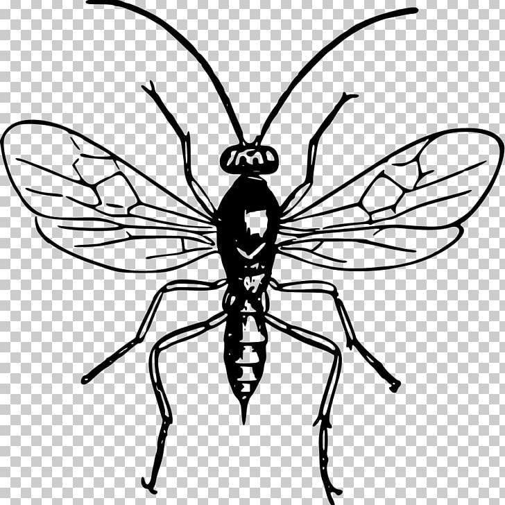 Hornet Insect Black And White Bee PNG, Clipart, Animals, Arthropod, Artwork, Baldfaced Hornet, Brush Footed Butterfly Free PNG Download