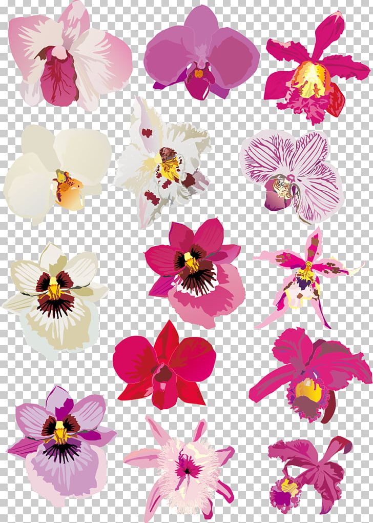 Orchids Euclidean PNG, Clipart, Cartoon, Clip Art, Design, Flower, Flower Arranging Free PNG Download