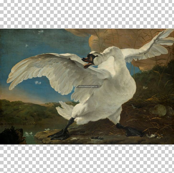 Rijksmuseum The Threatened Swan Painting Dutch Golden Age Art PNG, Clipart, Amsterdam, Art, Artist, Art Museum, Baroque Free PNG Download