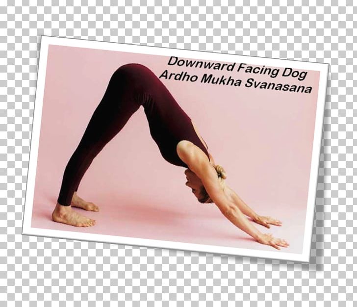 Yoga Dog Adho Mukha śvānāsana Shoulder Exercise PNG, Clipart, Adho Mukha Svanasana, Arm, Asana, Balance, Dog Free PNG Download