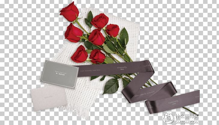 Beach Rose Cut Flowers Gu Yuan Gift PNG, Clipart, Beach Rose, Birthday, Box, Caucasus, Cut Flowers Free PNG Download