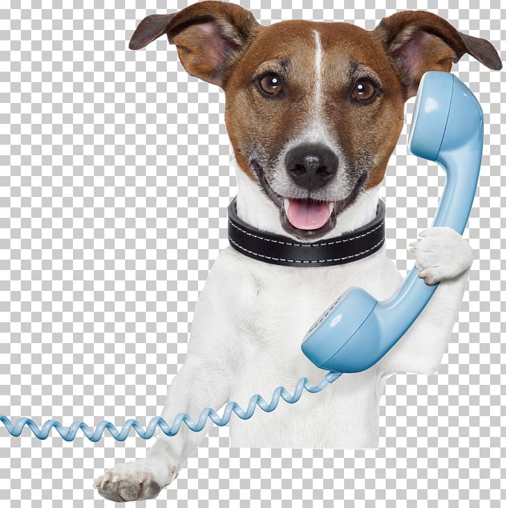 Dog Pet Sitting Telephone Stock Photography Mobile Phones PNG, Clipart, Animals, Call, Can, Collar, Companion Dog Free PNG Download